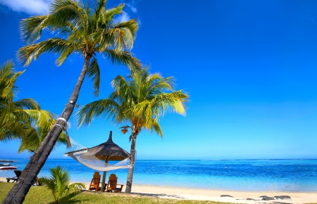 热带天堂,沙滩,棕榈树,蓝色天空,海洋,阳光,夏天,风景图片