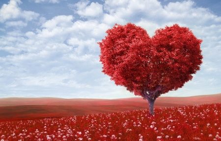 红色心形树,花场,浪漫爱情 font color'red>风景图片/font>