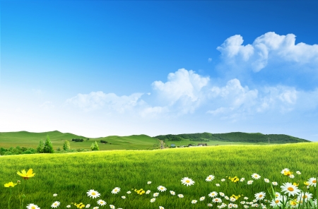 蓝天白云绿草地鲜花风景图片素材