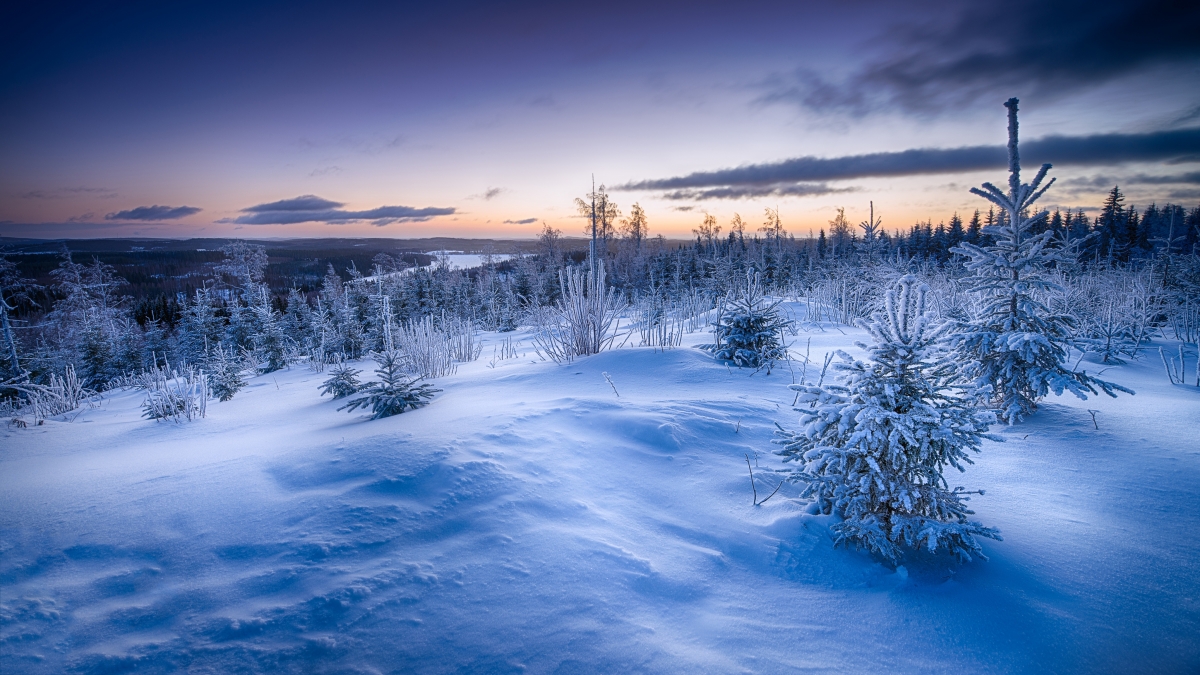 美丽的冬季风景4k高清壁纸 4k风景图片 彼岸图网pic Netbian Com