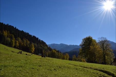 巴伐利亚山 蓝色天空 太阳 4k风景图片