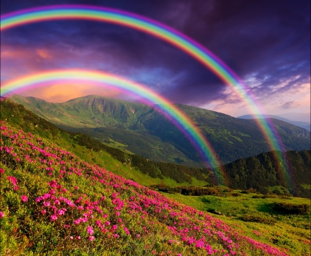 自然景观的山鲜花 彩虹 高清风景图片