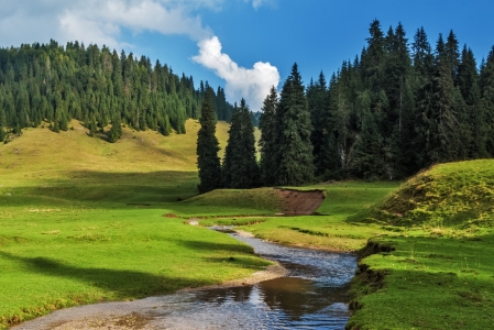 森林 阳光 河流 乡村景观 罗马尼亚 4k风景壁纸