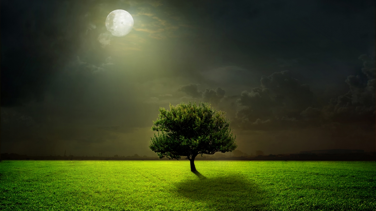 绿色草地树云月亮夜晚月光4k风景壁纸