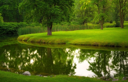 公园 自然 夏天 树木 草地 河流 草坪 绿色风景图片
