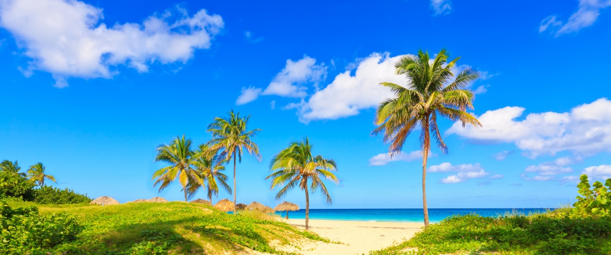 海岸棕榈树海滩沙滩夏天海边风景3440x1440壁纸