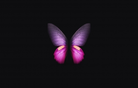 Galaxy Fold Butterfly  Ψ4Kֽ