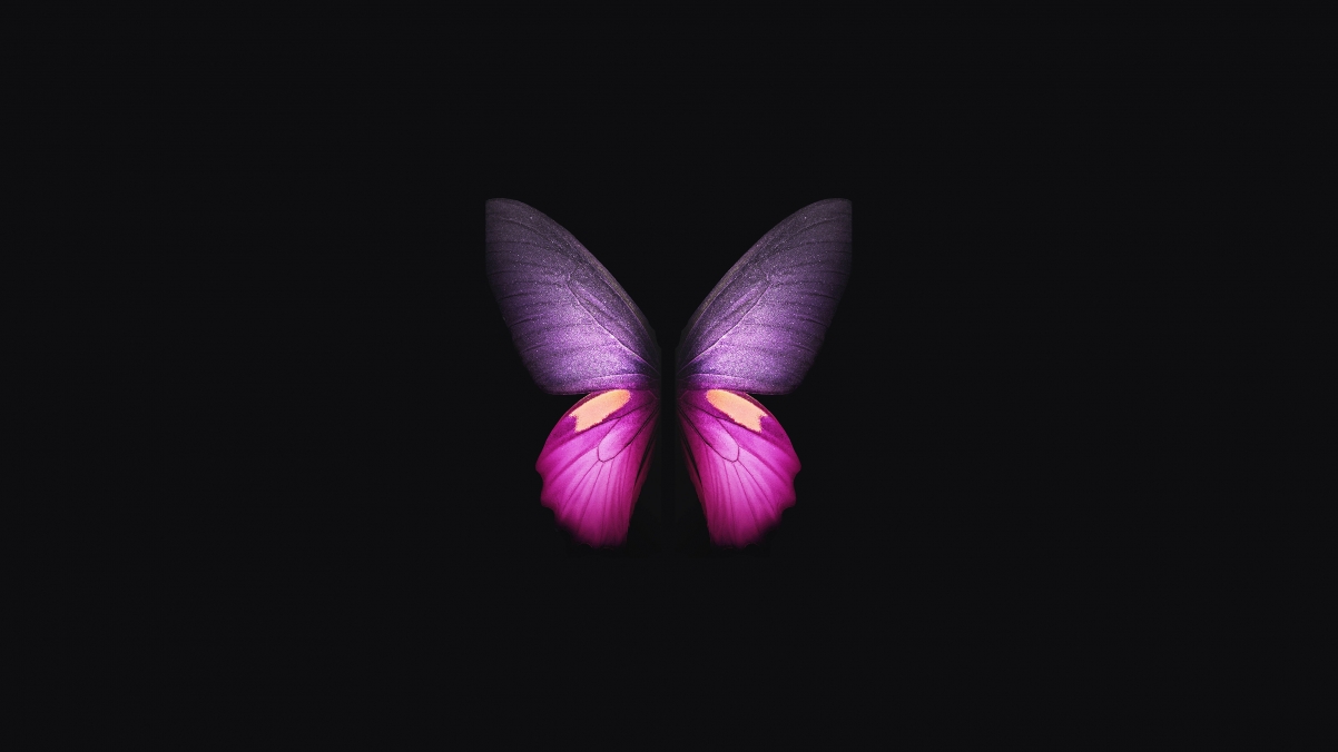 Galaxy Fold Butterfly  Ψ4Kֽ