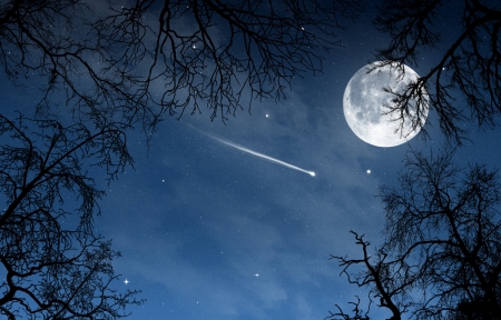 黑夜月亮风景图片图片