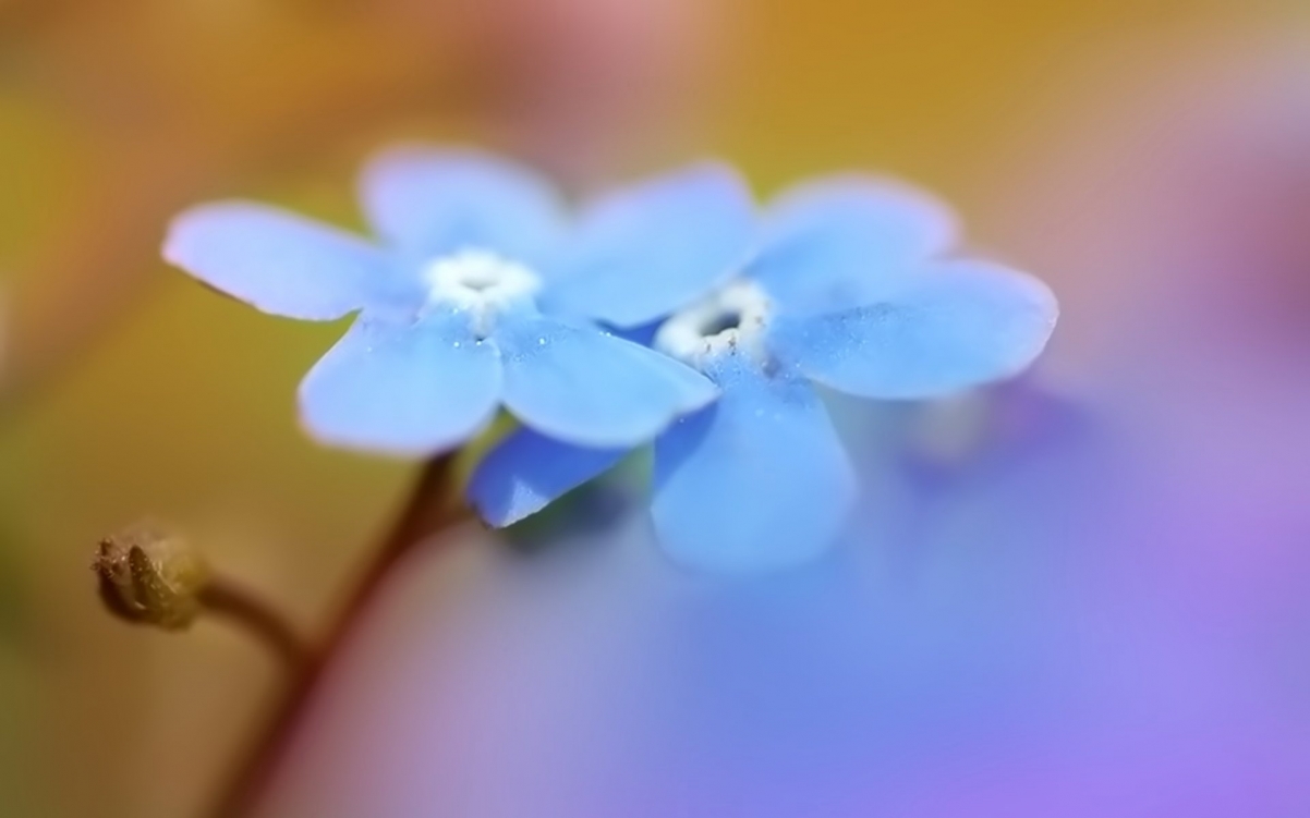 仨ΨͼƬ