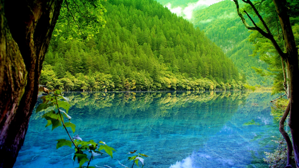 կ羰4kֽ