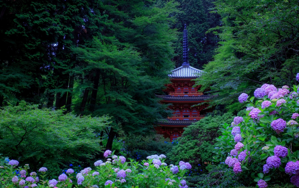 日本京都公园绿色树木灌木绣球花塔4k风景壁纸 4k风景图片 彼岸图网pic Netbian Com