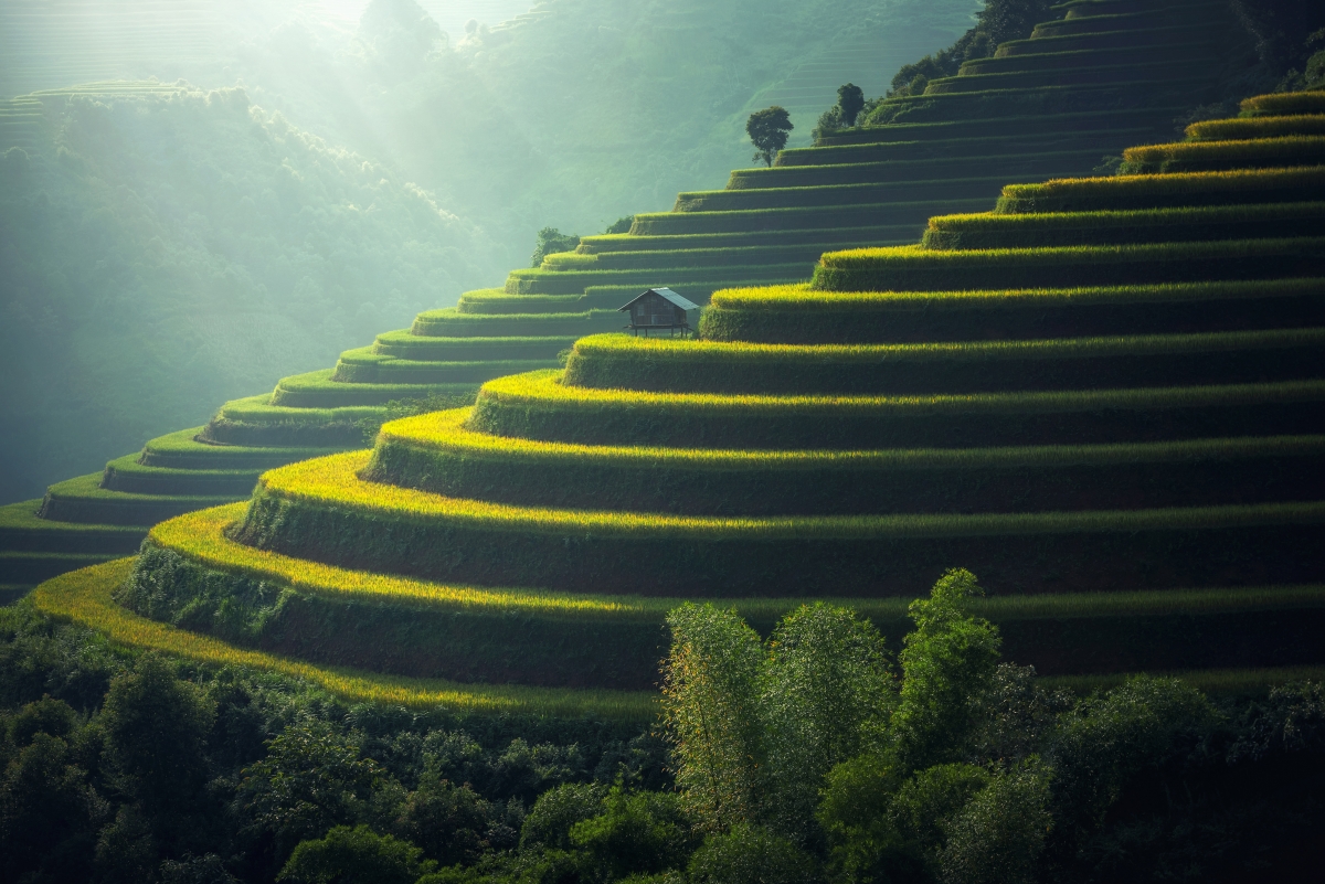 ˮ羰4Kֽ