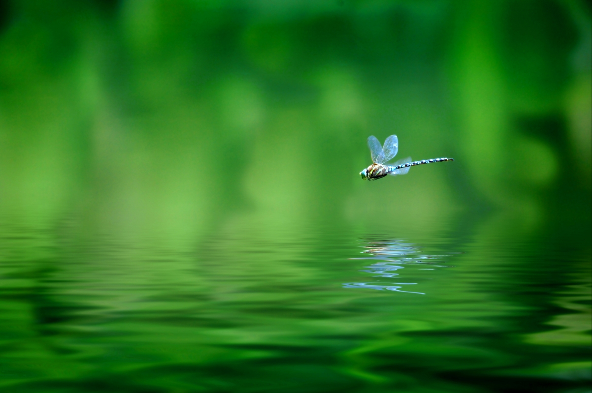 Ȼ,,,ˮ,4Kֽ