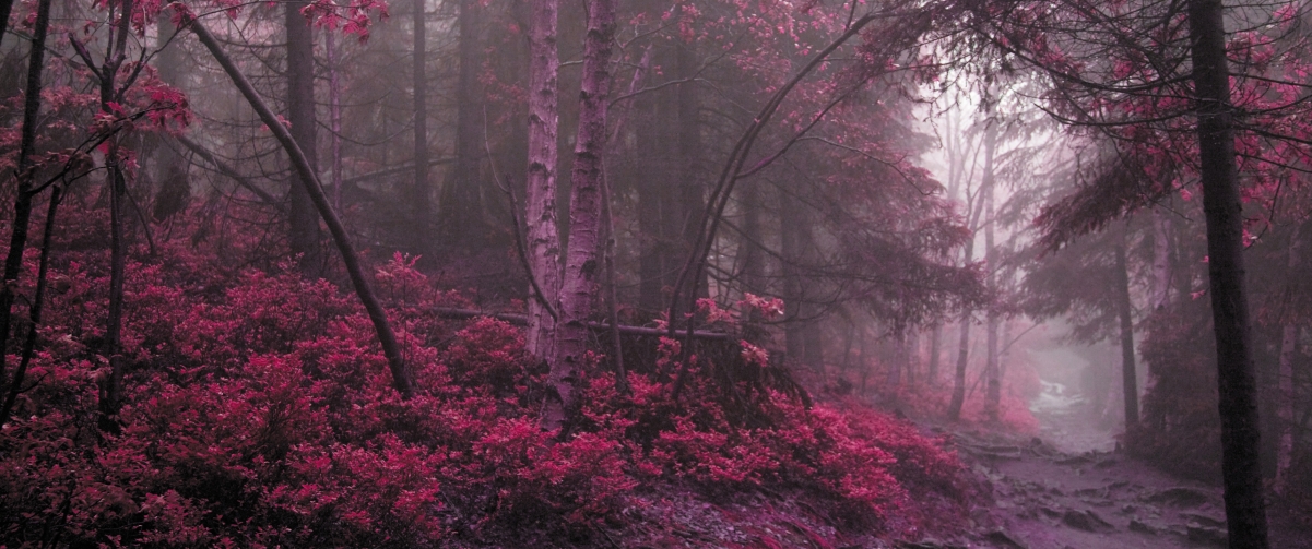 غɫַ羰3440x1440ֽ