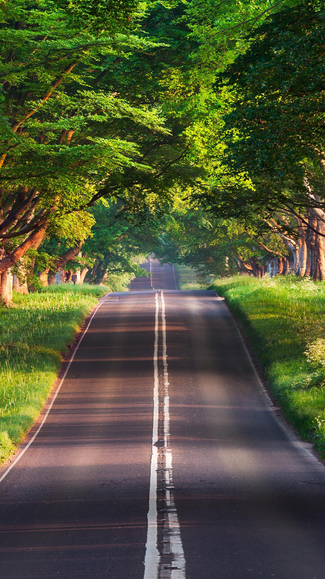 布兰福德路风景高清手机壁纸1080x19 手机图片 彼岸图网pic Netbian Com