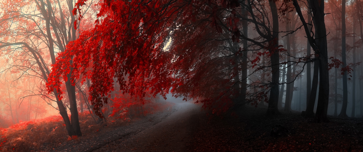 Ҷַ羰ֽ3440x1440
