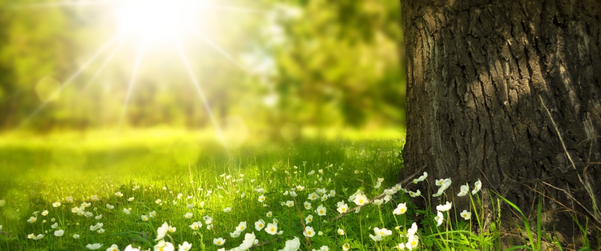 ʻľ3440x1440羰ֽ