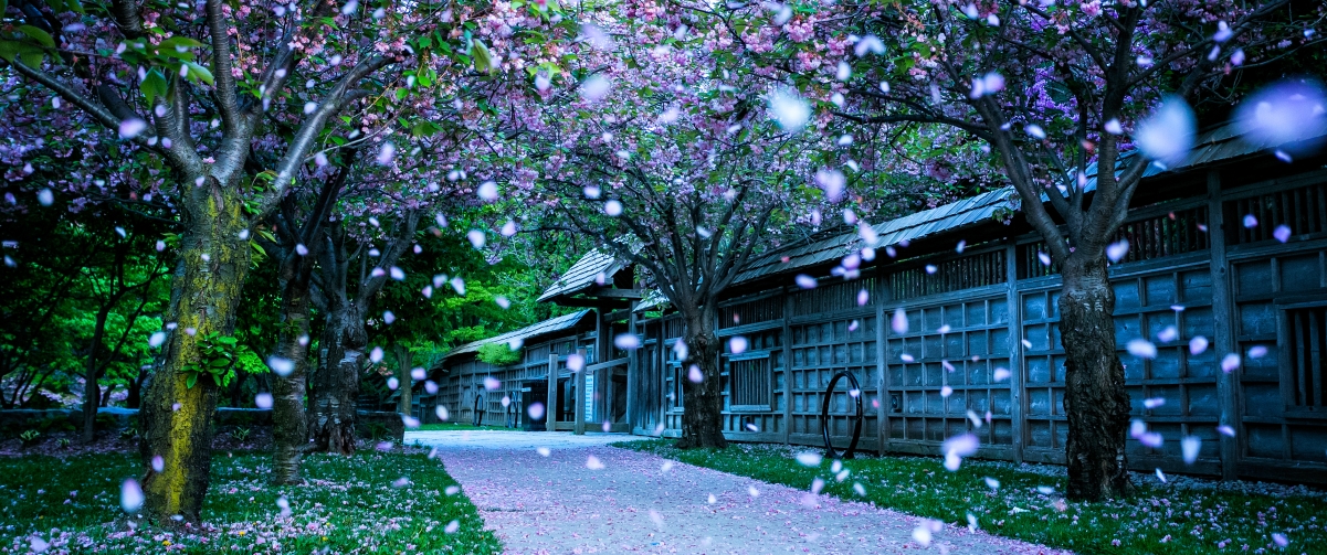 Kariya Park ԰羰3440x1440ֽ