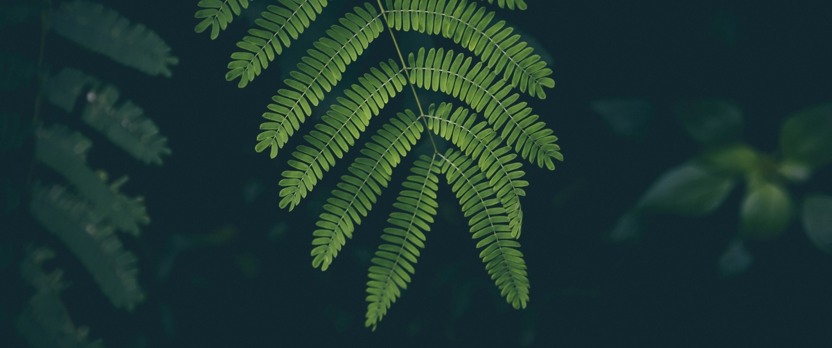 Ҷ ֲ3440x1440ֽ