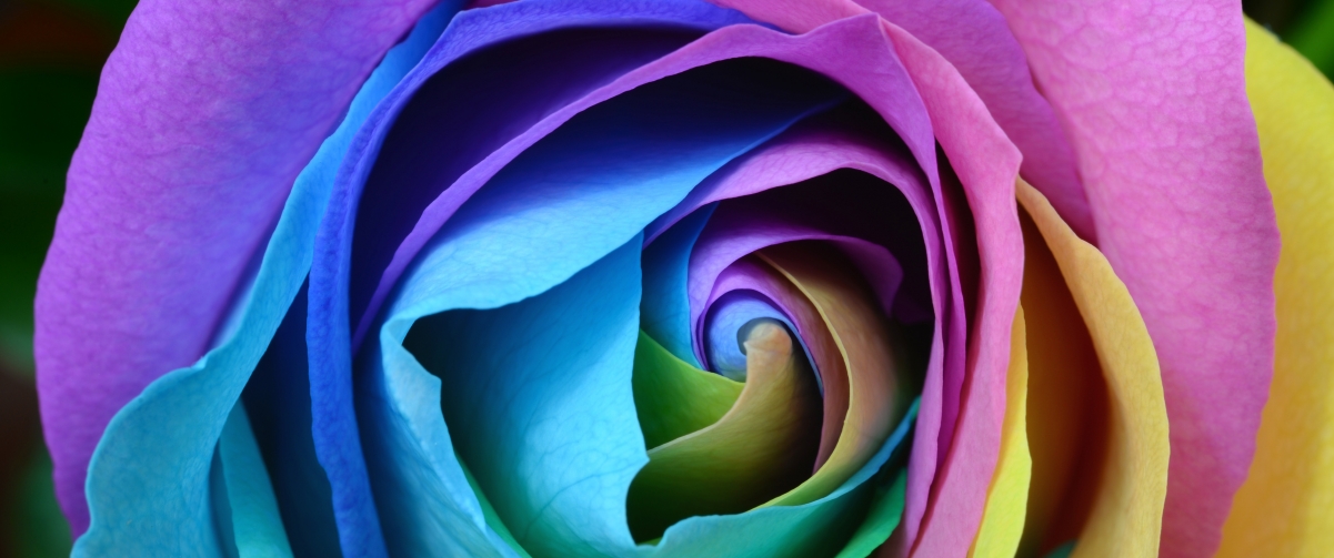 ɫʵõ3440x1440ֽ