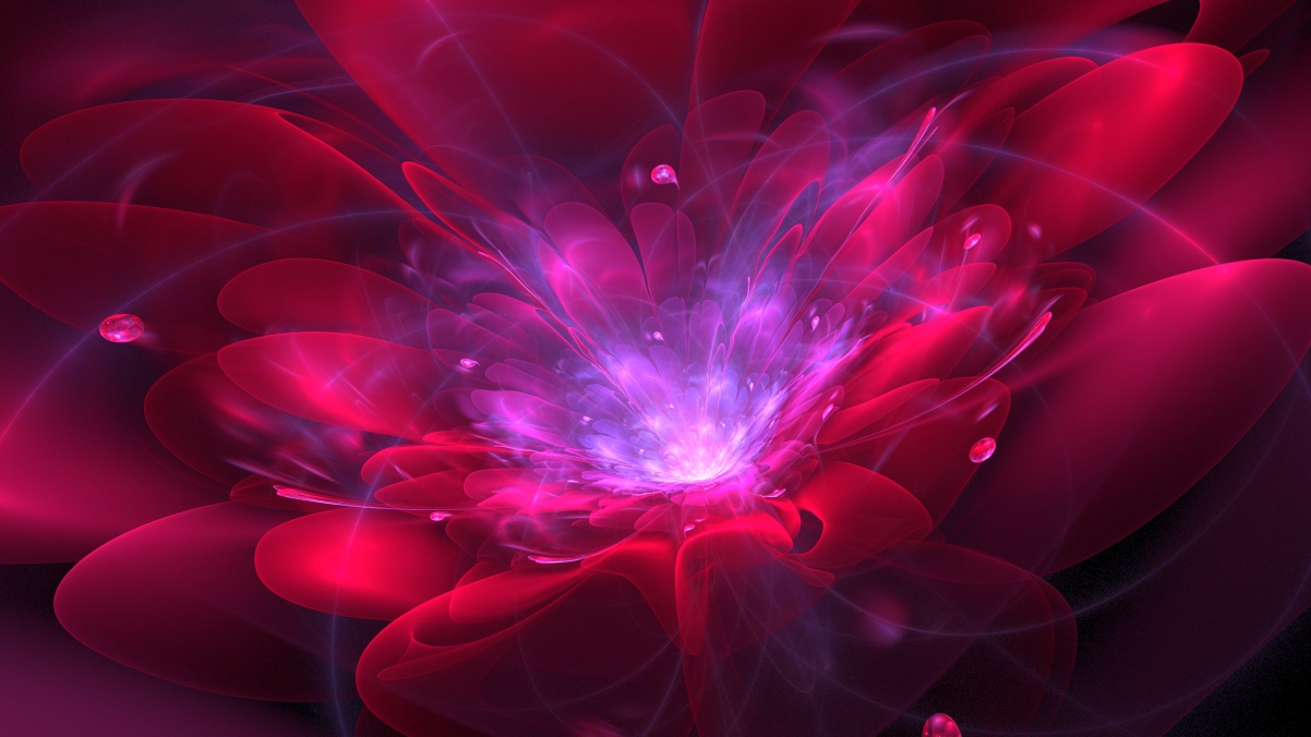 ɫboogie blossom4kֽ
