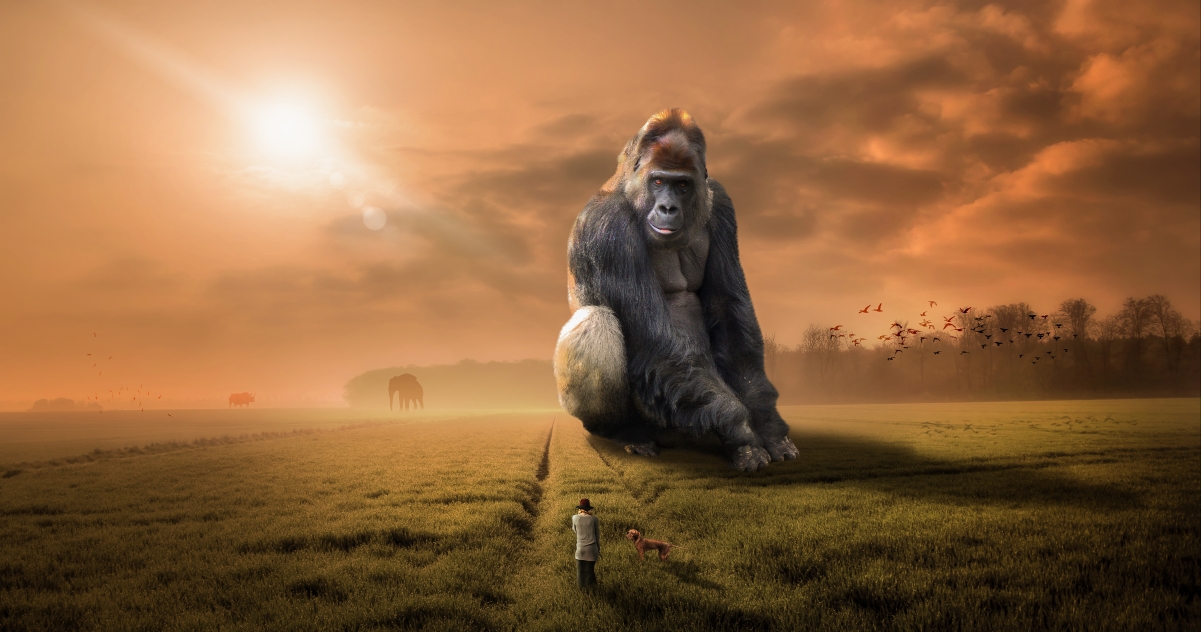 动物大猩猩草食动物日落黄昏天空原野5k图片_4K背景图片_彼岸图网pic 