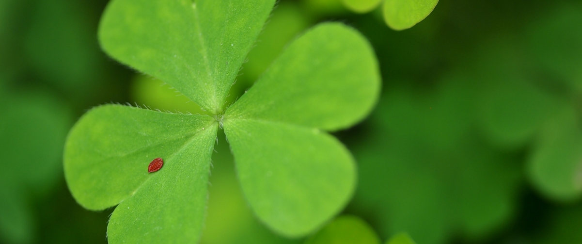 ɫҶ3440x1440ֽ