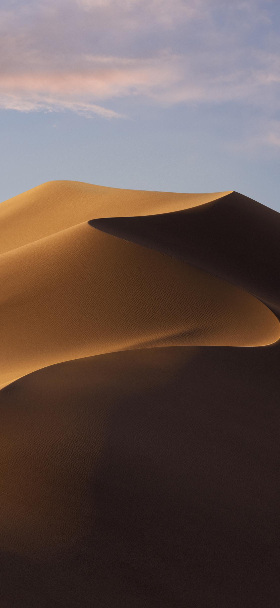 ƻ macOS Mojave ֻֽ1125x2438