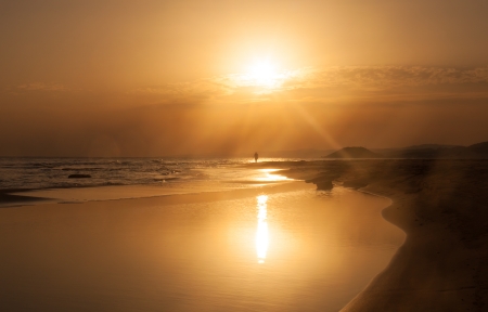 阳光下的金色沙滩图片