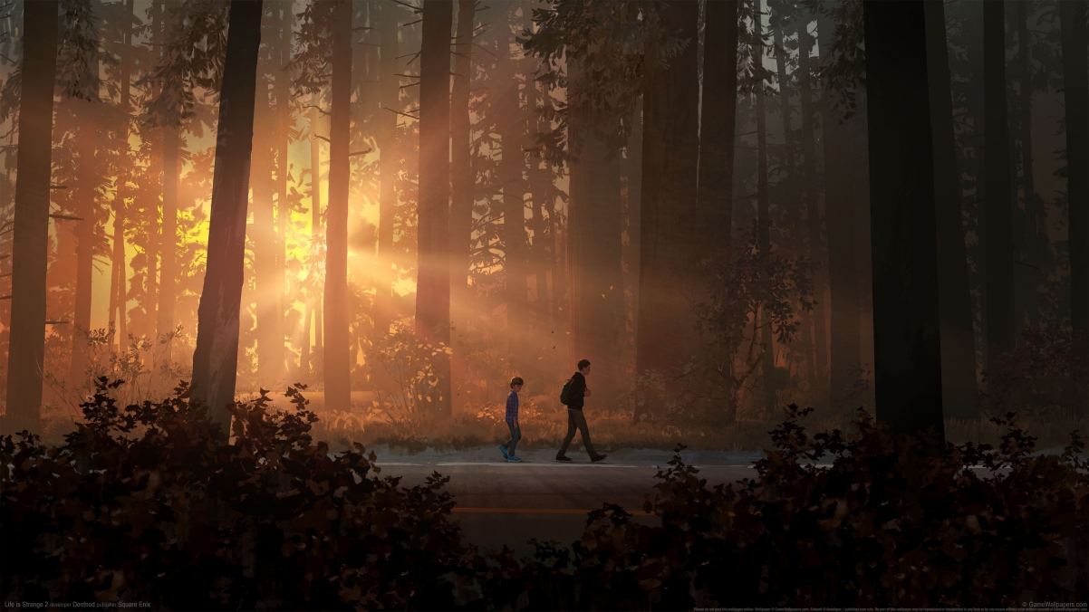 Life is Strange 23840x2160Ϸֽ4k