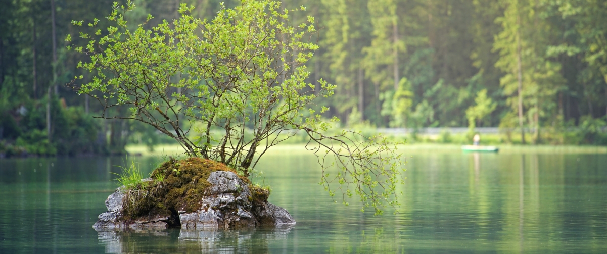 ʯ  ɭֺ羰3440x1440ֽ
