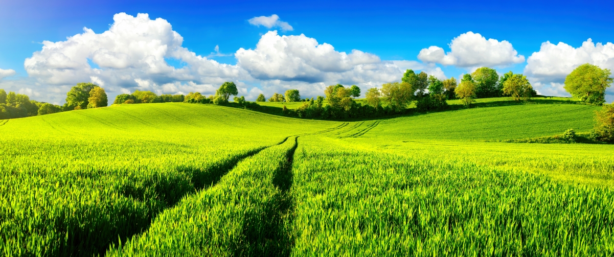 ɫũ3440x1440羰ֽ