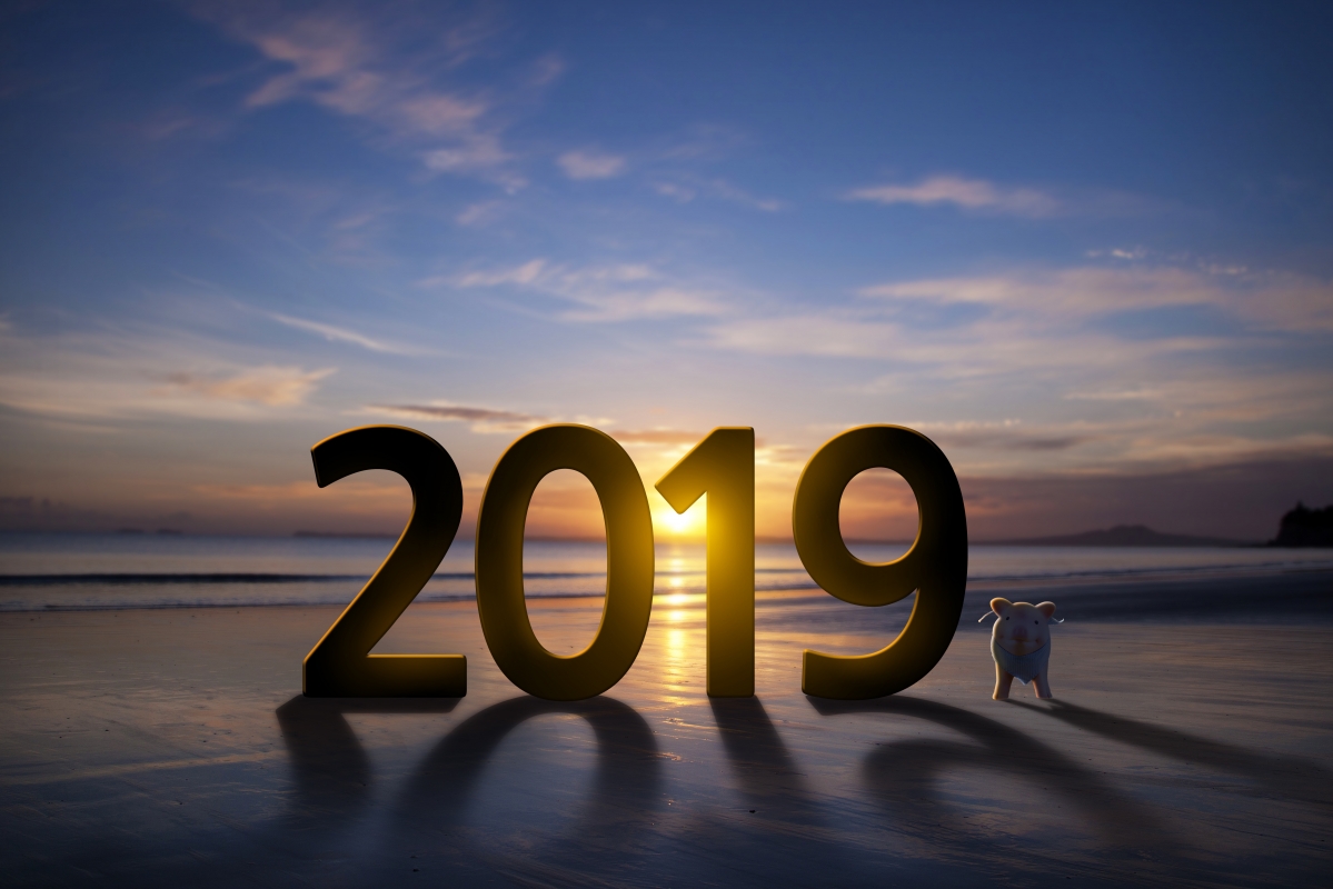 Ϧ2019С5kͼƬ