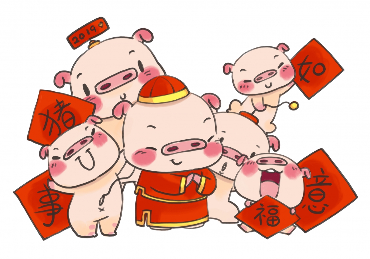 2019猪年春晚禁猪图片