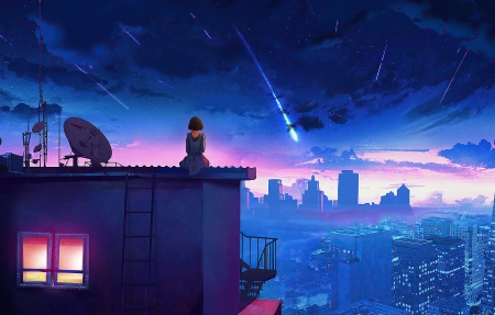 4k 晚上 坐在屋顶的女孩 背影 星空 流星 唯美 动漫 高清壁纸