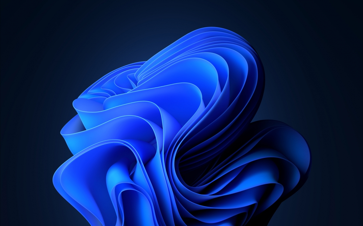 ɫ win11 ϵͳ2560x1600ֽ