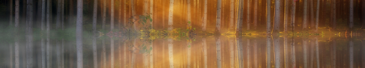 ɭֹ ľ ˮ Ӱ 5760x1080羰ֽ