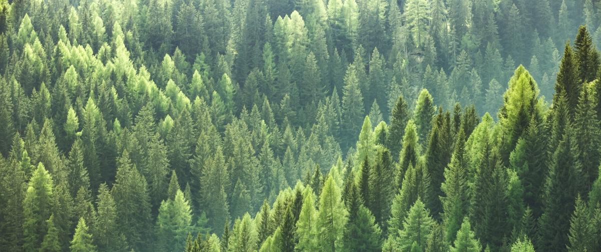 ɫֻ۸3440x1440ֽ