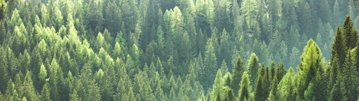 ɫɭַ羰3840x1080˫ֽ