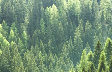 ɫɭַ羰3840x1080˫ֽ