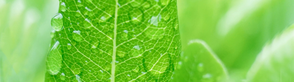 ɫҶ  ˮ3840x1080˫ֽ