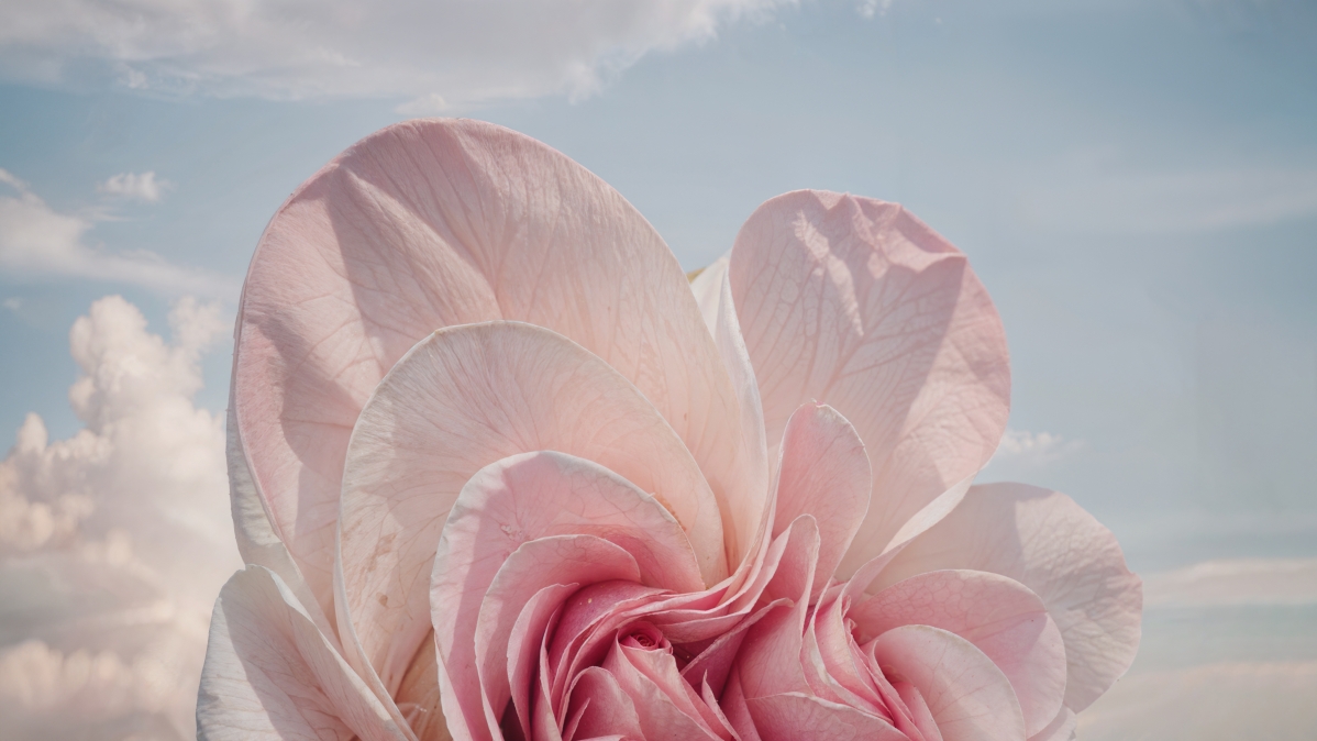 ΢Windows 11ϵͳ ɫ 5Kֽ5120x2880