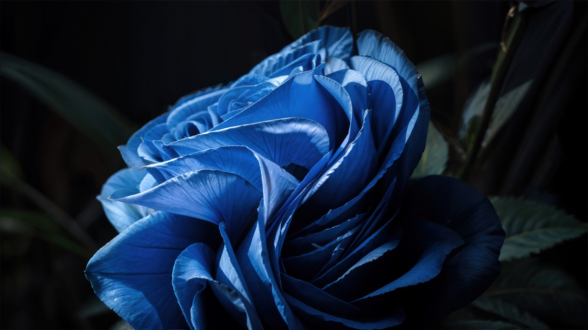 ΢Windows 11ϵͳ ɫ 5Kֽ5120x2880