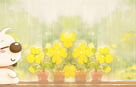 ͹   3440x1440ֽ
