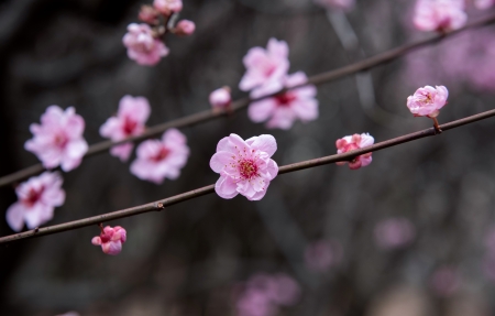 ÷羰 4Kֽ 3840x2160