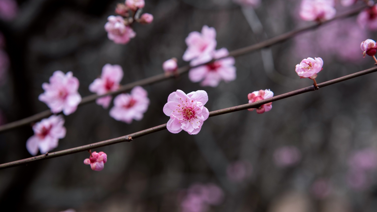 ÷羰 4Kֽ 3840x2160
