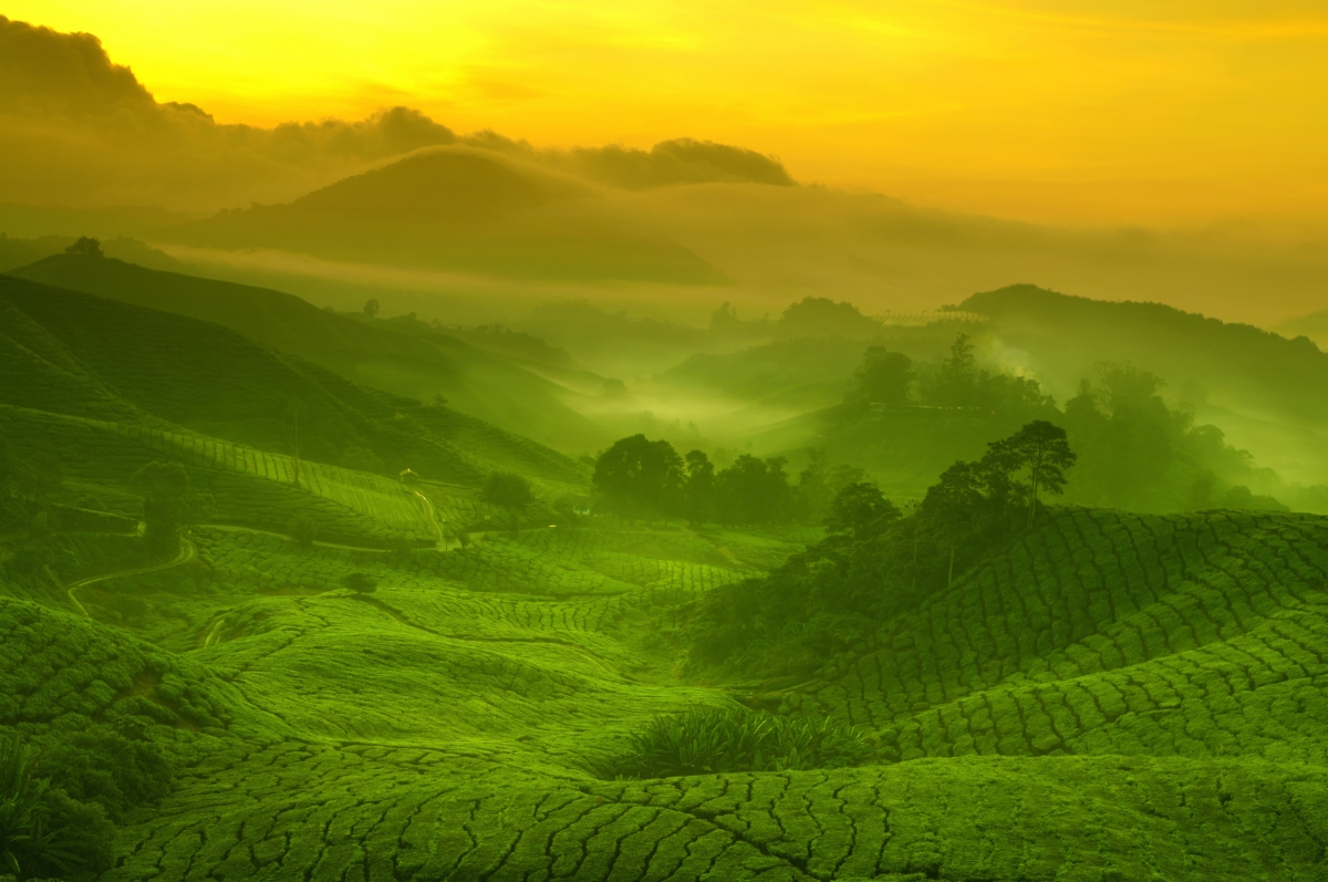 ԰羰ͼ4Kֽ