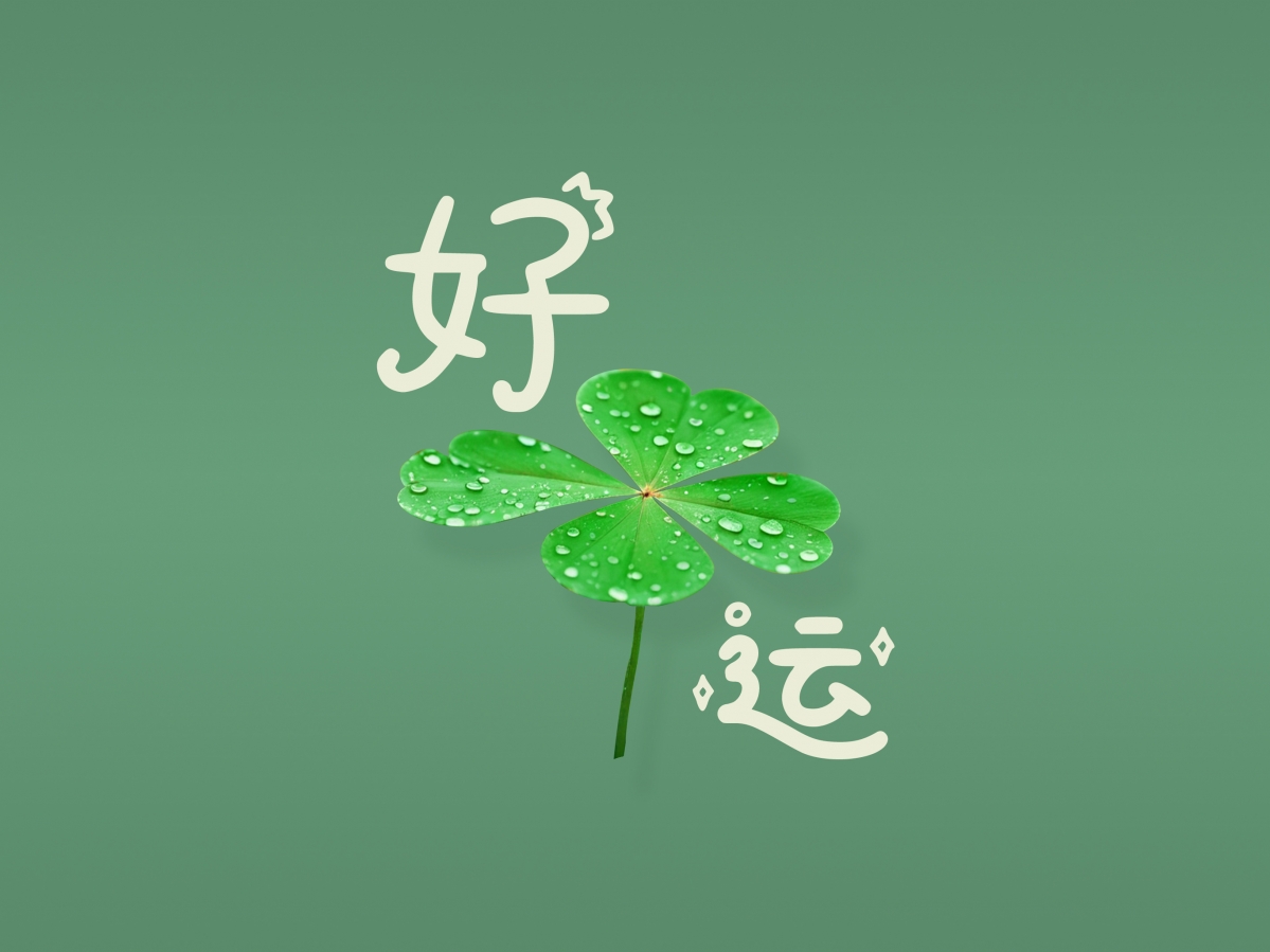 ɻ  ƽֽ