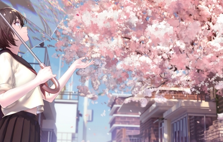 ӣ Ů ɡ3440x1440ֽ